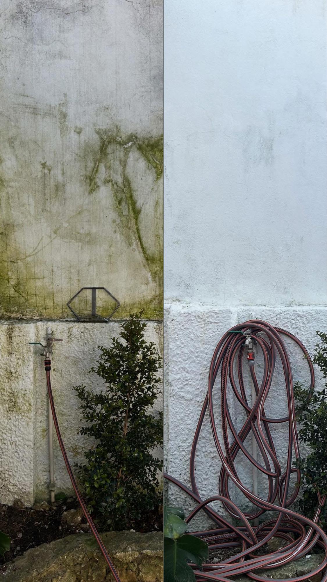 Muro com musgo antes e depois da lavagem profissional